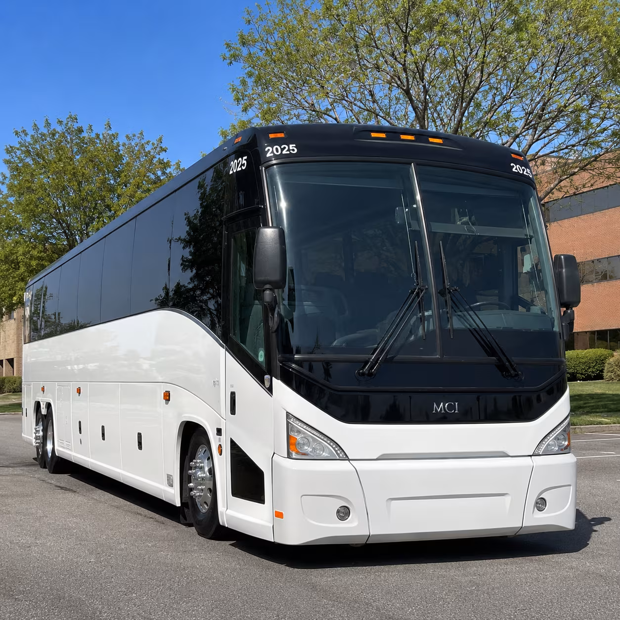 buses for field trips to the la brea tar pits
